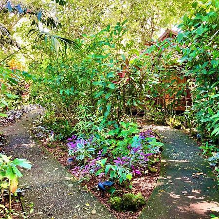 Coral Hill Bungalows Cahuita Extérieur photo