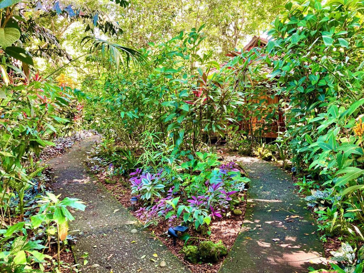 Coral Hill Bungalows Cahuita Extérieur photo