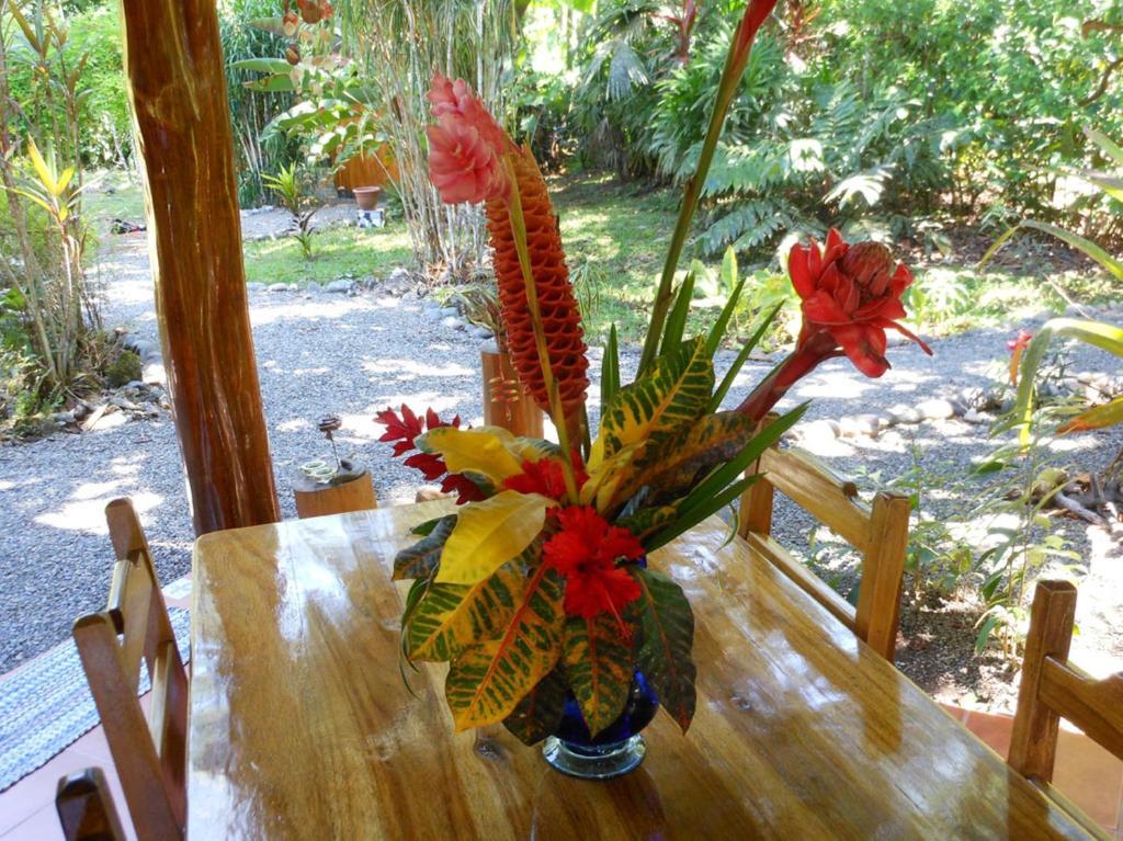 Coral Hill Bungalows Cahuita Extérieur photo