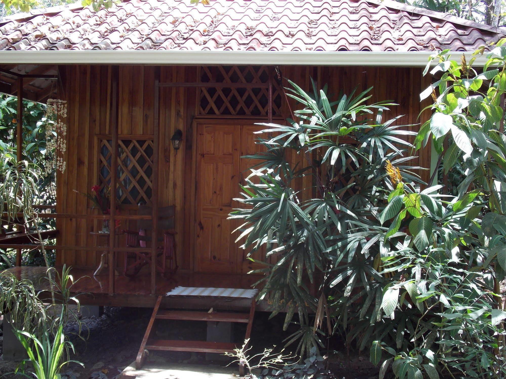 Coral Hill Bungalows Cahuita Extérieur photo