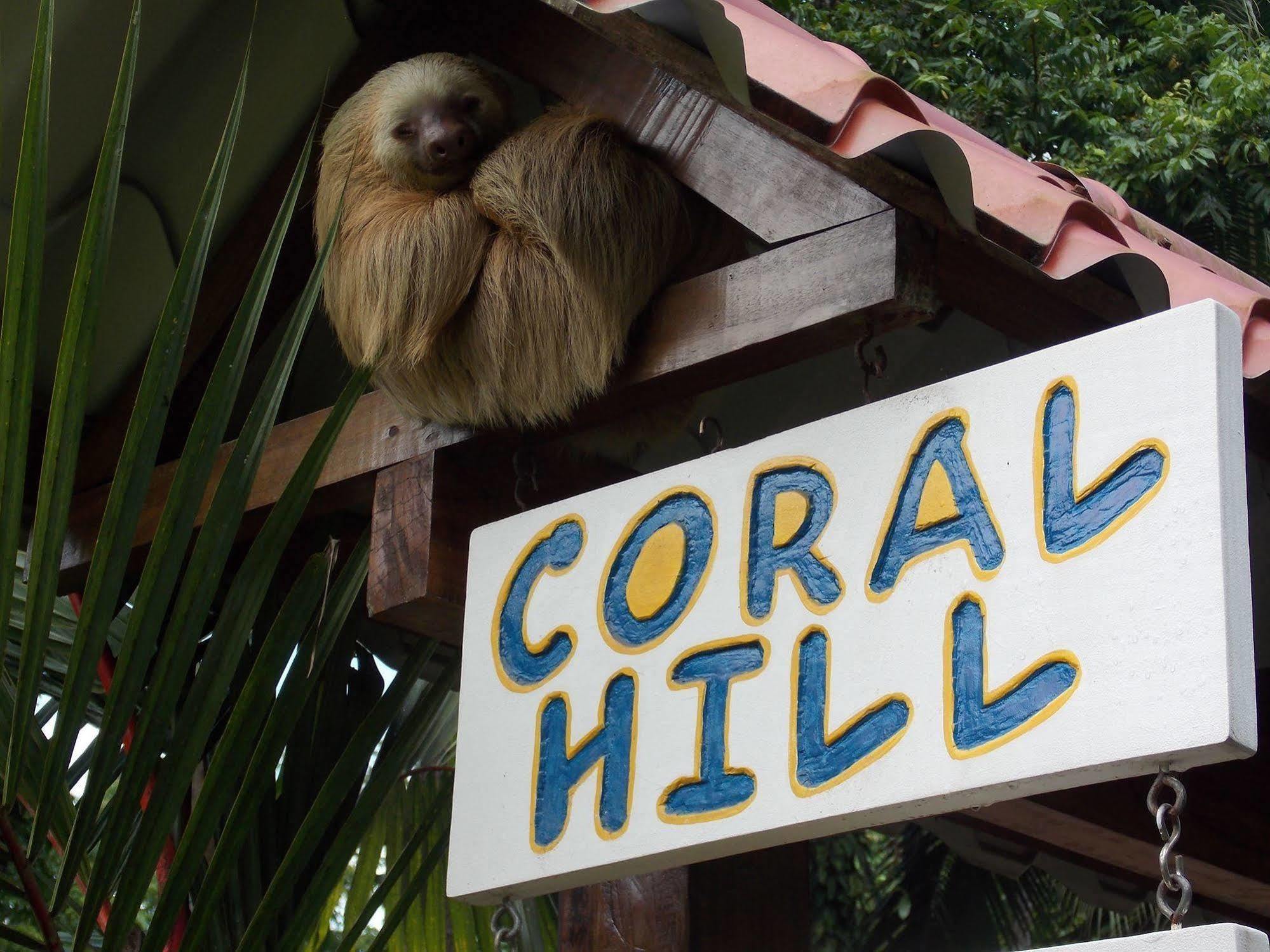 Coral Hill Bungalows Cahuita Extérieur photo