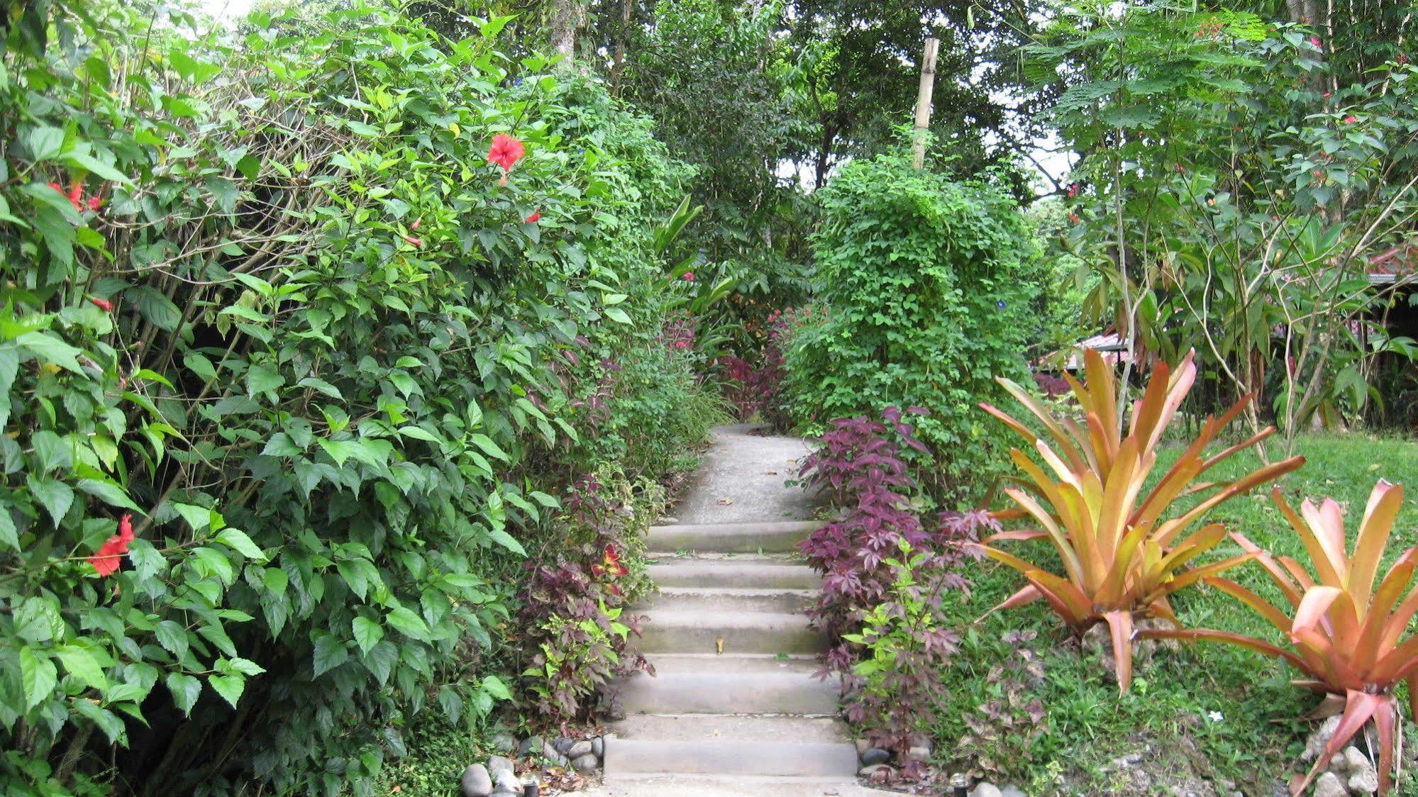Coral Hill Bungalows Cahuita Extérieur photo