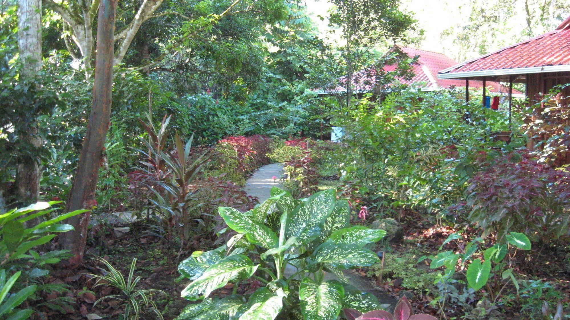 Coral Hill Bungalows Cahuita Extérieur photo