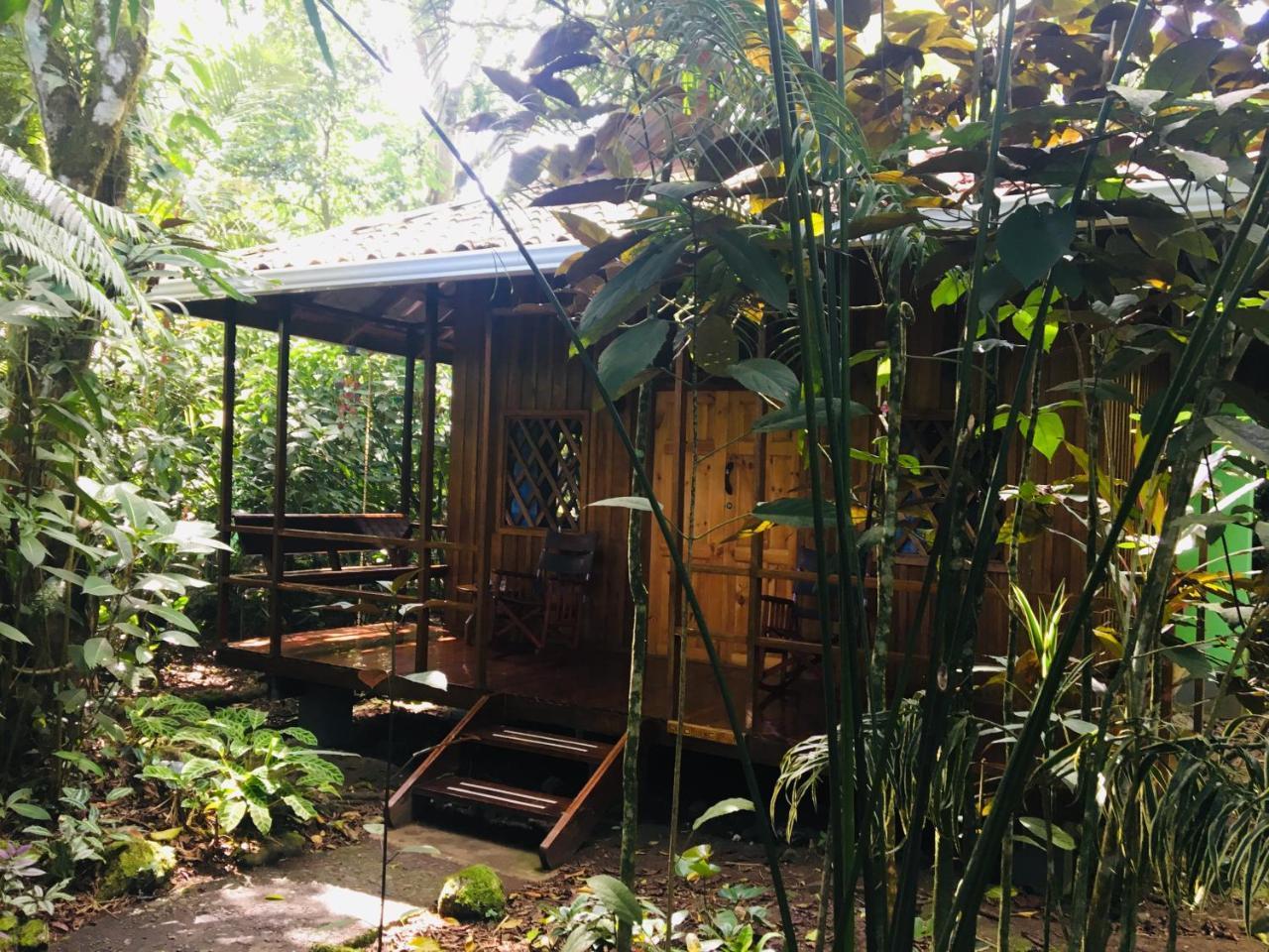 Coral Hill Bungalows Cahuita Extérieur photo
